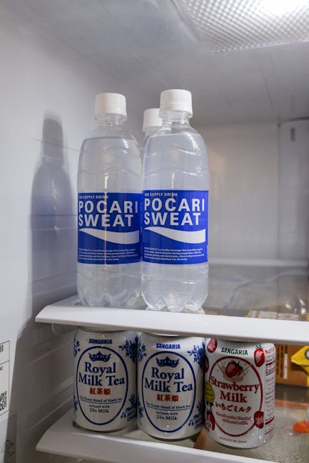 Large Refridgerator with Freezer